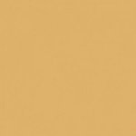 Paint and Paper Library Silken Flank Paint